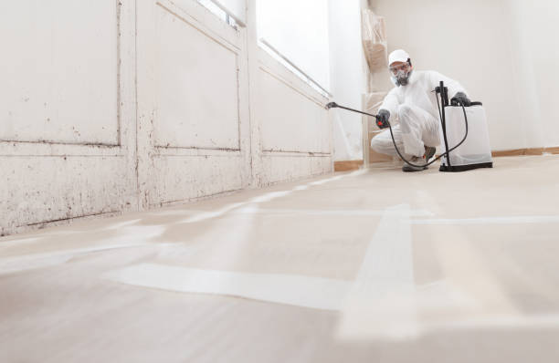 24/7 Emergency Attic Mold Removal experts in Brielle, NJ